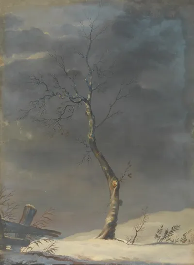 Landscape 573