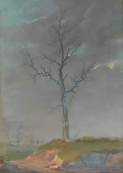 Landscape 577