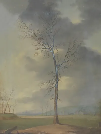 Landscape 578