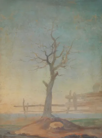 Landscape 579