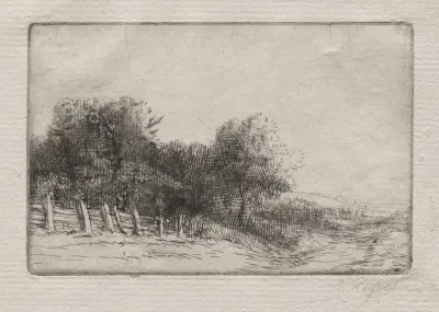Landscape 7 2