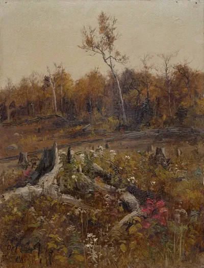Landscape 71