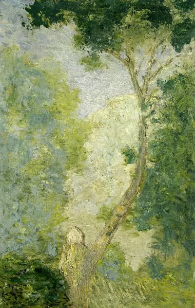 Landscape 79