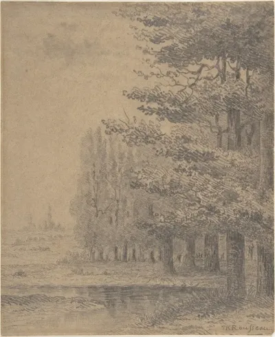 Landscape A Grove Of Trees Standing Near A River