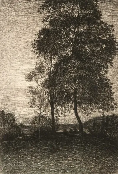 Landscape At Dusk With Trees