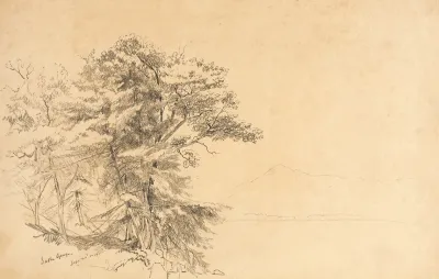 Landscape At Lake George