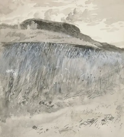 Landscape Fields