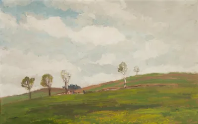 Landscape Fin The Vicinity Of Kamenicky