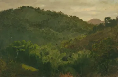 Landscape From Jamaica West Indies