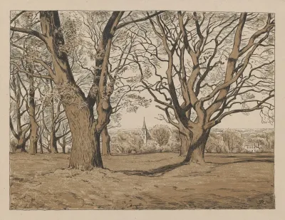 Landscape From The Obersursel Area