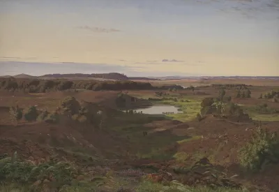 Landscape In The North Of Zealand Afternoon