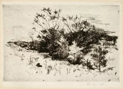 Landscape Near Cincinnati
