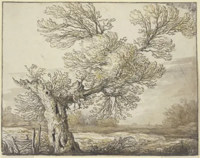 Landscape Near Dordrecht 2