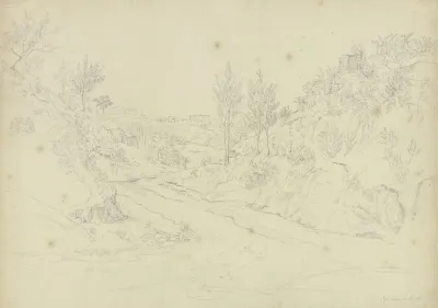 Landscape On Ischia