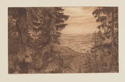 Landscape On The Bottom Left A Group Of Roe Deers