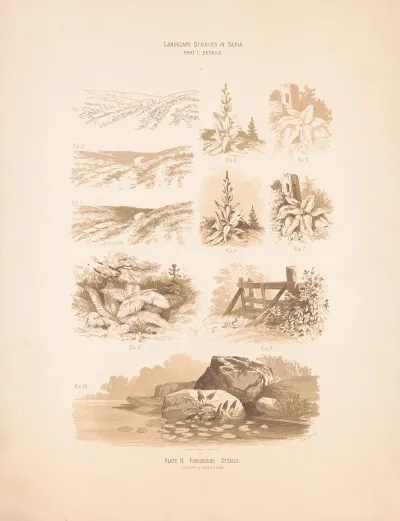 Landscape Studies In Sepia Foreground Details