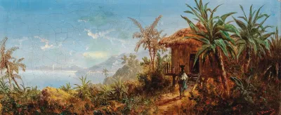 Landscape Study Of South America