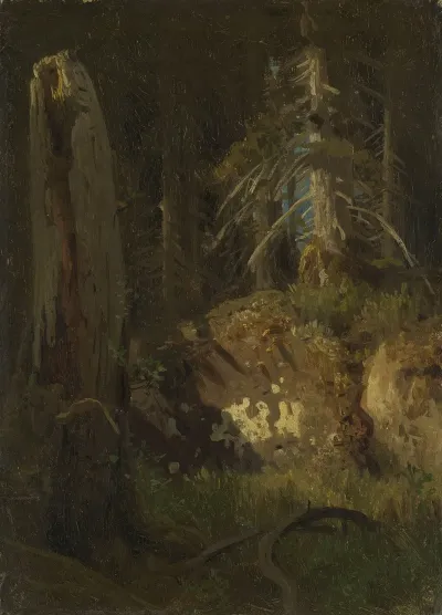 Landscape Study With Decaying Trees 2