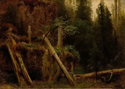 Landscape Study With Decaying Trees