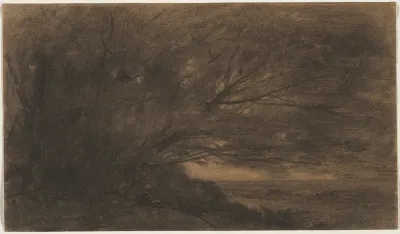 Landscape The Large Tree
