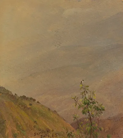 Landscape Vi