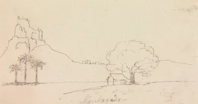 Landscape View With Palm Trees