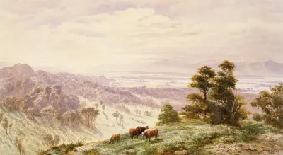 Landscape Waimea Plains Nelson