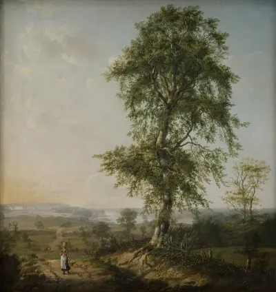 Landscape With A Big Tree