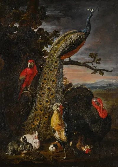 Landscape With A Peacock Parrot Chicken Turkey Two Rabbits And A Guinea Pig