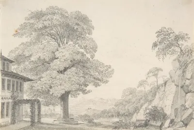 Landscape With A Tree In Front Of A Villa 2