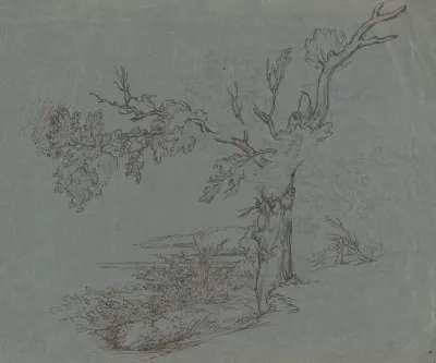 Landscape With A Tree In The Foreground