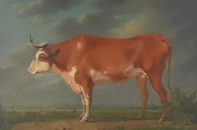 Landscape With Cow 3