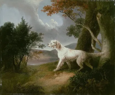 Landscape With Dog