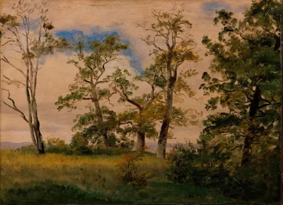 Landscape With Free Standing Trees