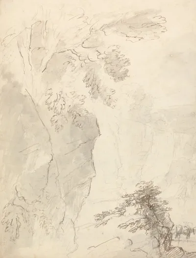 Landscape With Gorge And Cattle
