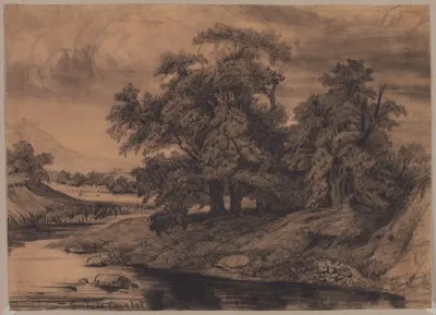 Landscape With Large Trees