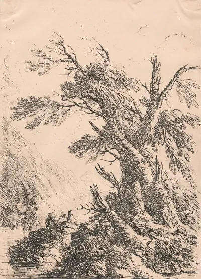 Landscape With Old Trees By Water