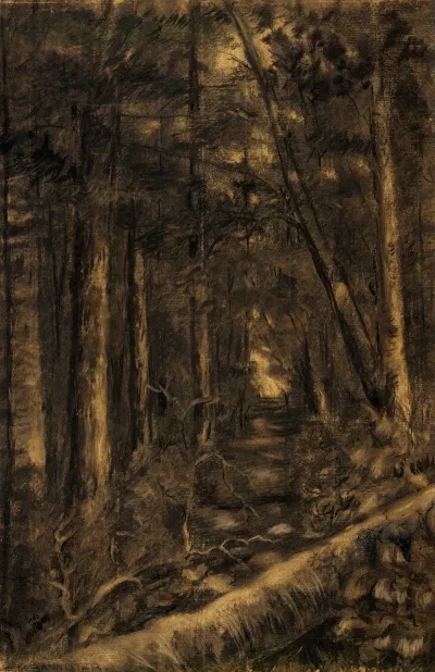 Landscape With Path Through Forest