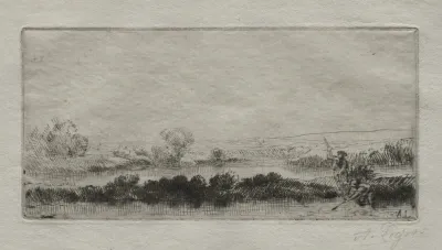 Landscape With Peat Bog In The Marsh