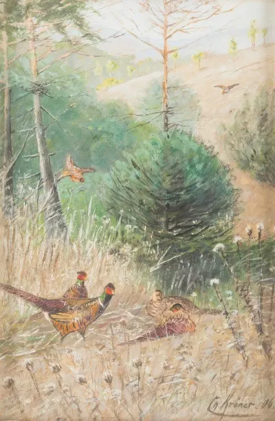Landscape With Pheasants