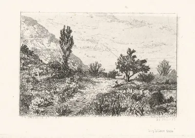 Landscape With Rural Road