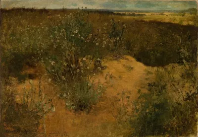 Landscape With Thistles