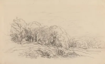 Landscape With Trees 16