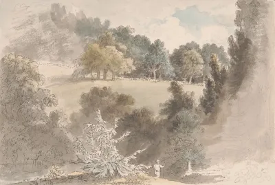 Landscape With Trees 17