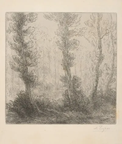 Landscape With Trees 28