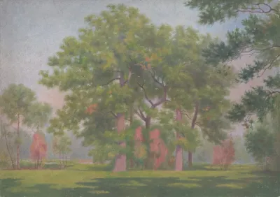 Landscape With Trees 5