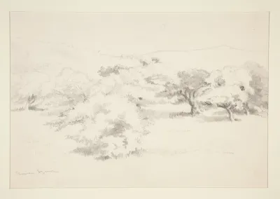 Landscape With Trees 9