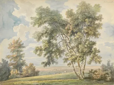 Landscape With Trees And Sheep Park Landscape With Sheep