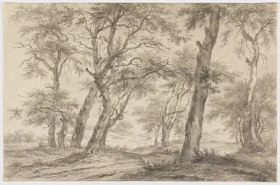 Landscape With Trees Near Hillegom
