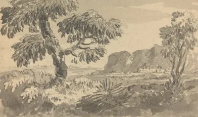 Landscape With Two Trees And Cliff
